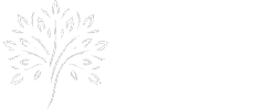 DE`RING Web Development